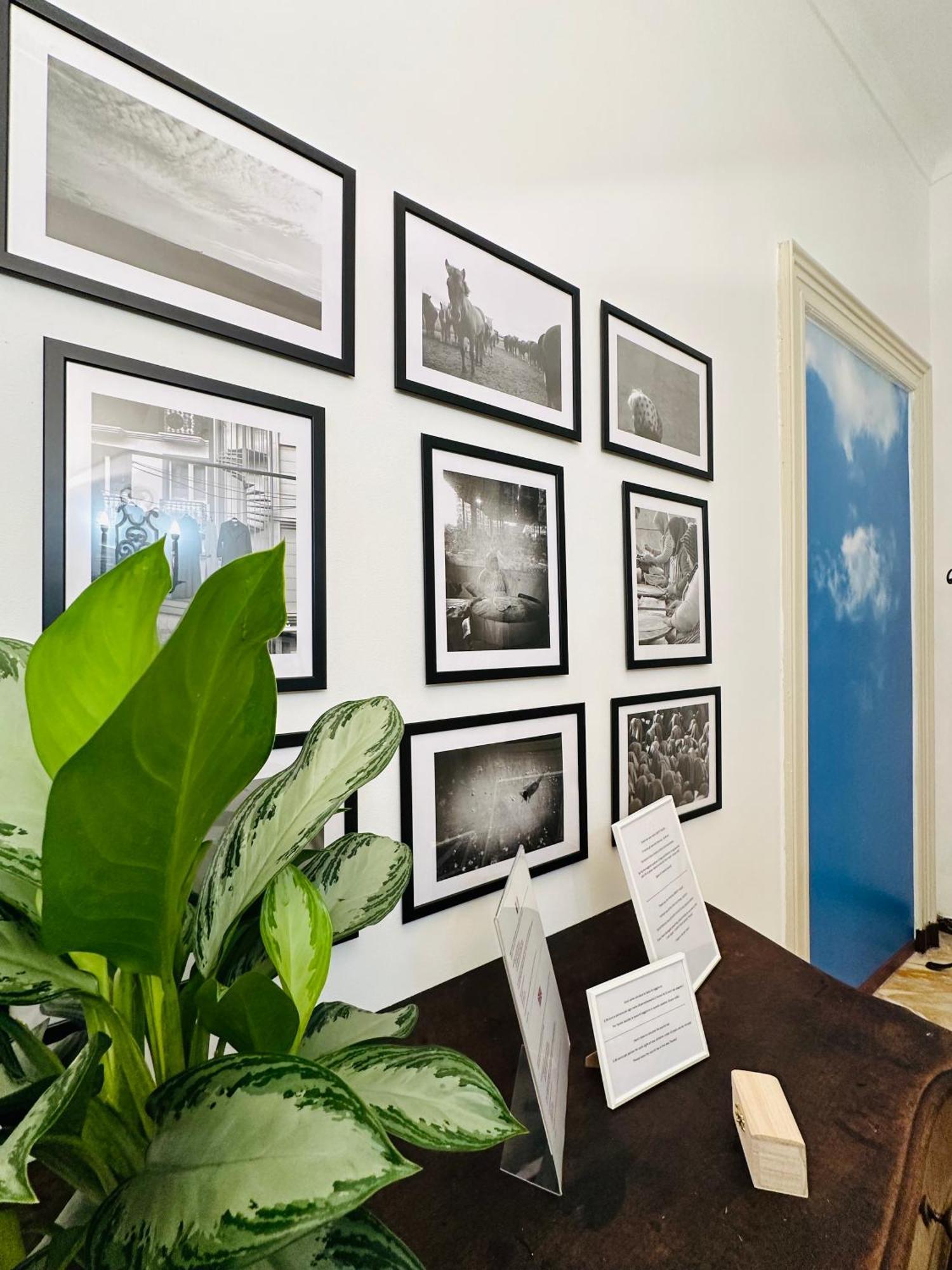Apartament Liberty House Turyn Zewnętrze zdjęcie